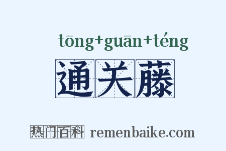 通关藤是什么意思的图片